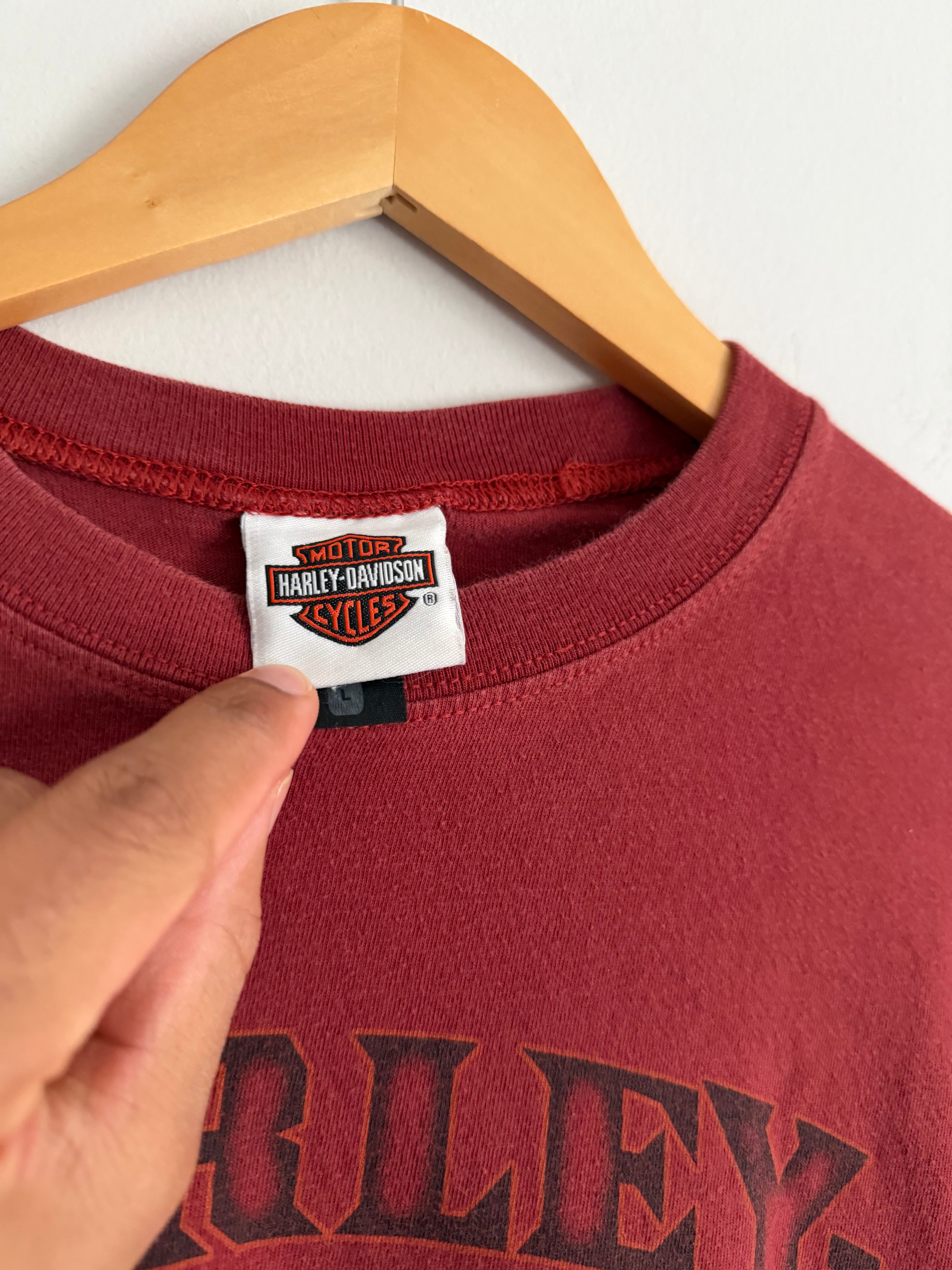 Vintage Early 2000s Harley Davidson Montgomery Alabama Big Flame Long Sleeve