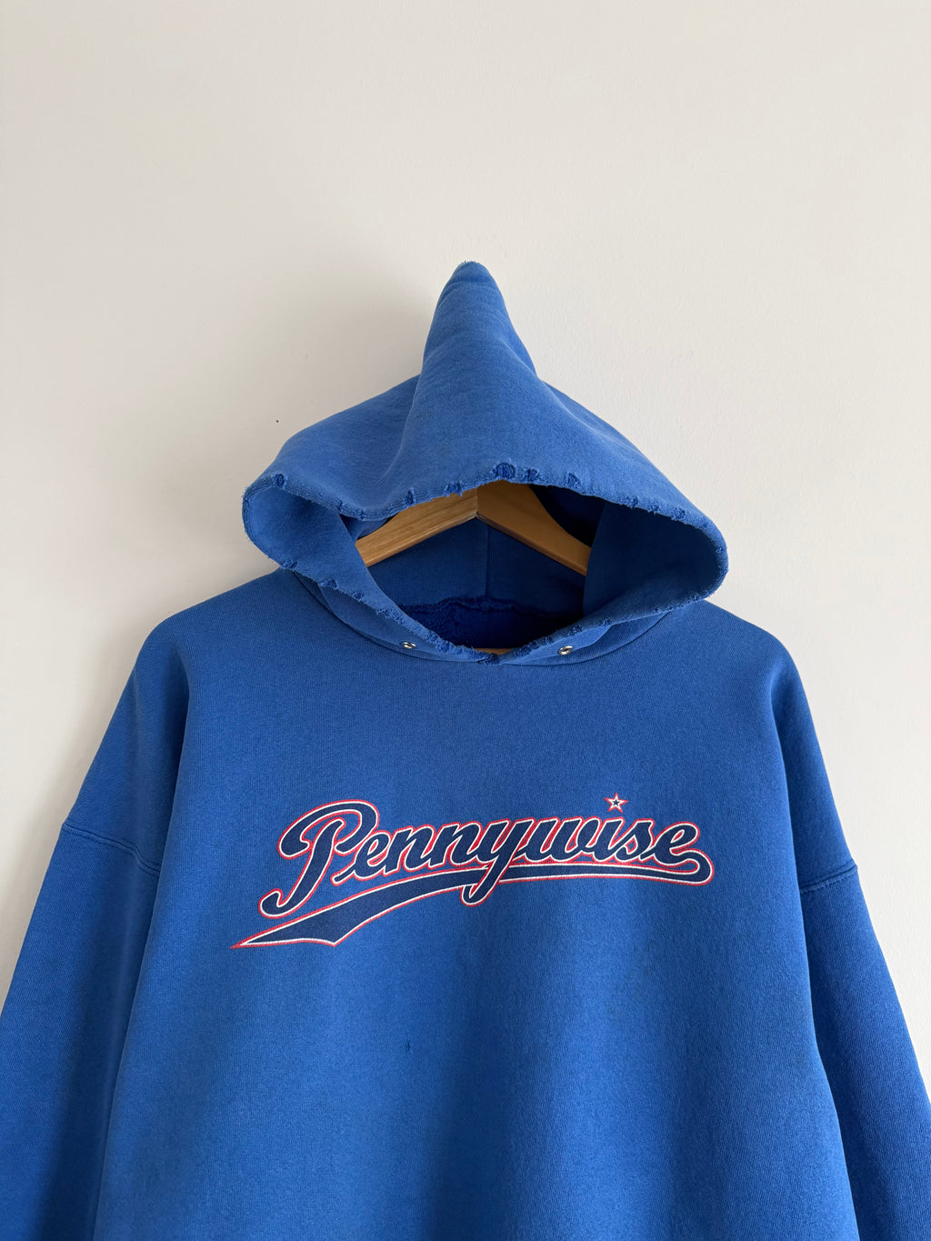 Vintage 90s Pennywise Hoodie